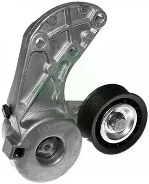 3.2 V6, 3.6 V6 Tendicinghia multirighe VW TOUAREG I INA