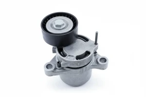 118 d, 125 d, 120 d Napcz paska klinowego wielorowkowego BMW 1 F20 INA