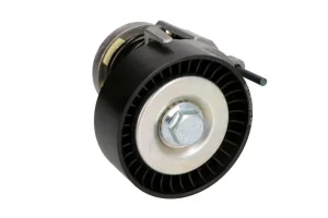 1.4, 1.4 LPG Napinacz paska klinowego wielorowkowego e3r0006 SEAT IBIZA 4 BTA