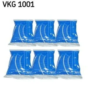 VKG 1001 SKF Smar