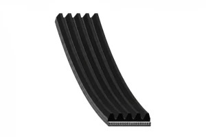 Pasek klinowy wielorowkowy 5pk MAZDA 121 III 1.8 D KAMOKA
