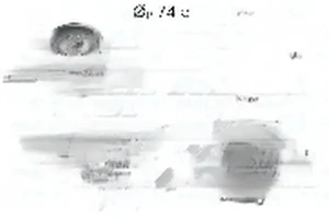 A195 DOLZ Wasserpumpe