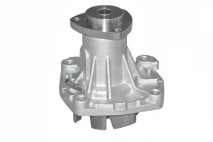 825 D/SD ROVER 800 Pompa wody Pompa wody DOLZ