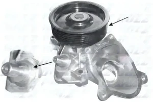 B236 DOLZ Pompe à eau