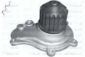 C141 DOLZ Pompa acqua