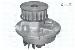 D210 DOLZ Pompe à eau