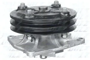 H208 DOLZ Wasserpumpe