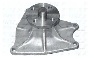 H208SP DOLZ Wasserpumpe