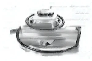 2.0 TD ROVER STREETWISE Wasserpumpe Wasserpumpe DOLZ