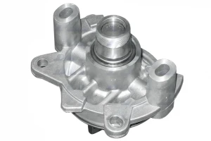 2.2 dCi RENAULT VEL SATIS Pompa wody Pompa wody DOLZ