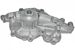 2.2 dT, 2.2 D RENAULT LAGUNA I Pompa wody Pompa wody DOLZ