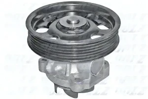 S233 DOLZ Pompa acqua