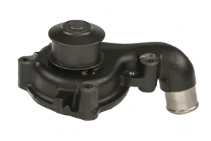 1.8 D FORD FIESTA IV Pompa wody Pompa wody GRAF
