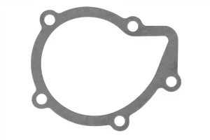 2.0 HDi, 1.9 D CITROËN JUMPY Pompa wody Pompa wody GRAF