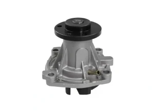 PA802 GRAF Pompa wody