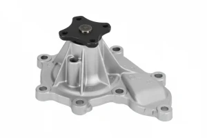 2.2 Di, 2.2 DCi, 2.2 dCi NISSAN X-TRAIL I Pompa wody Pompa wody GRAF