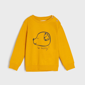 Sinsay - Bedrucktes Sweatshirt - Gelb - Jungs - 0783T-11X