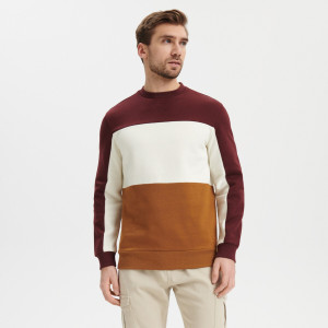 Sinsay - Bluza - Brązowy - męski - 2315O-82X