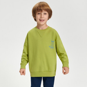 Sinsay - Bluza - Zielony - chłopiec - 2987X-81X