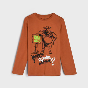 Sinsay - Koszulka Shrek - Brązowy - chłopiec - 3947X-84X