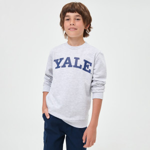 Sinsay - Bluza Yale - Jasny szary - chłopiec - 4326O-09M