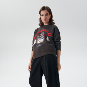 Sinsay - Bluza Muminki - Brązowy - damski - 4359N-89X