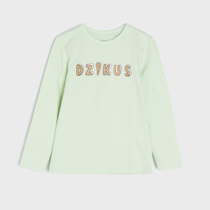 Sinsay - Koszulka z nadrukiem - Zielony - chłopiec - 4897T-07X