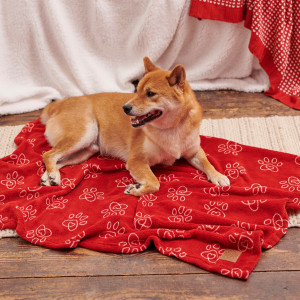 Sinsay - Koc dla zwierząt - Bordowy - dziewczynka - 6385P-83X