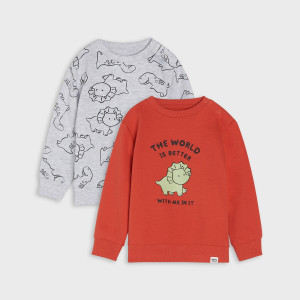 Sinsay - Bluzy 2 pack - Jasny szary - chłopiec - 6424R-09M