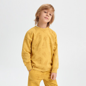 Sinsay - Bluza - Żółty - chłopiec - 6580X-11X