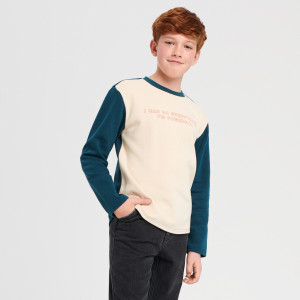 Sinsay - Bluza z nadrukiem - Wielobarwny - chłopiec - 6584X-MLC