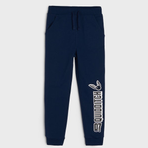 Sinsay - Spodnie dresowe jogger Harry Potter - Niebieski - chłopiec - 6810M-54X