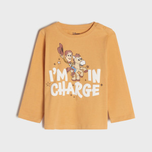 Sinsay - Koszulka Toy Story - Brązowy - chłopiec - 7066C-82X