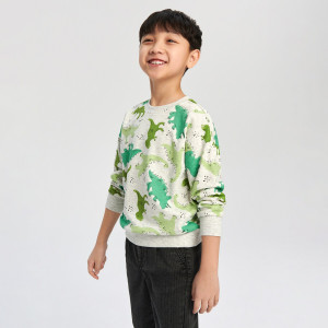 Sinsay - Bluzy 2 pack - Jasny szary - chłopiec - 7781C-09M