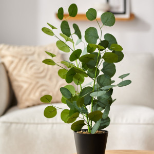 Sinsay - Pianta ornamentale artificiale - Verde - Unisex - 953AB-77X