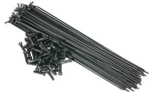 Eclat PG Stainless BMX Speichen (Schwarz)