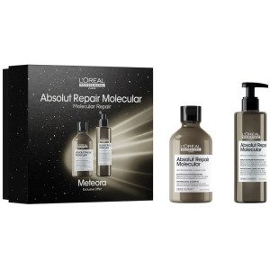 L'Oréal Professionnel Serie Expert Absolut Repair Molecular Shampoo Damaged Hair