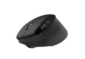 Acer Souris verticale Smart Fit