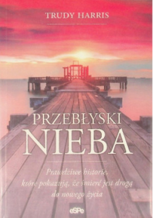 Przebłyski nieba - Trudy Harris - książka historyczna wyd. 2015