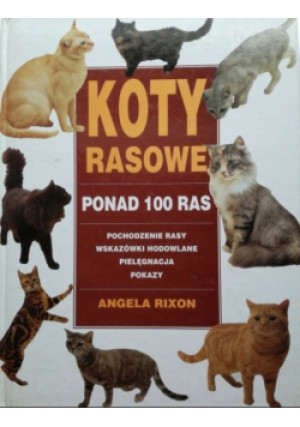 Koty rasowe - Angela Rixon - książka  wyd. 1995