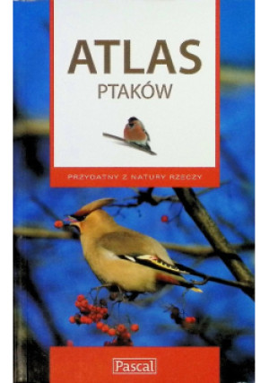 Atlas ptaków - Marcin Karetta - książka  wyd. 2008