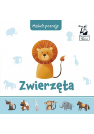 Maluch poznaje Zwierzęta - Marta Lenartowicz - książka  wyd. 2019