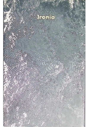 Ironia - Michał Głowiński - książka  wyd. 2002
