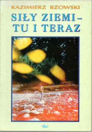 Siły ziemi tu i teraz - Kazimierz Bzowski - książka  wyd. 2001
