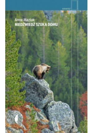 Niedźwiedź szuka domu - Anna Maziuk - książka  wyd. 2024