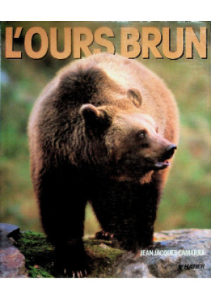 L'ours brun - książka  wyd. 1989