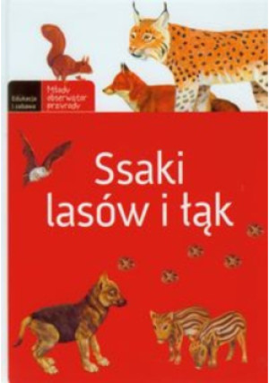 Ssaki lasów i łąk - Małgorzata Wilamowska - książka  wyd. 2011