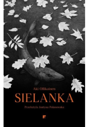 Sielanka - Aki Ollikainen - książka  wyd. 2024