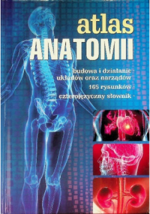 Atlas anatomii - Justyna Mazurek - książka  wyd. 2015