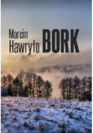 Bork - Marcin Hawryło - książka  wyd. 2014